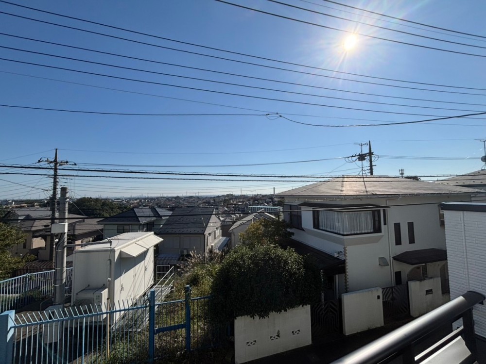 【販売現地】※2024年11月3日撮影